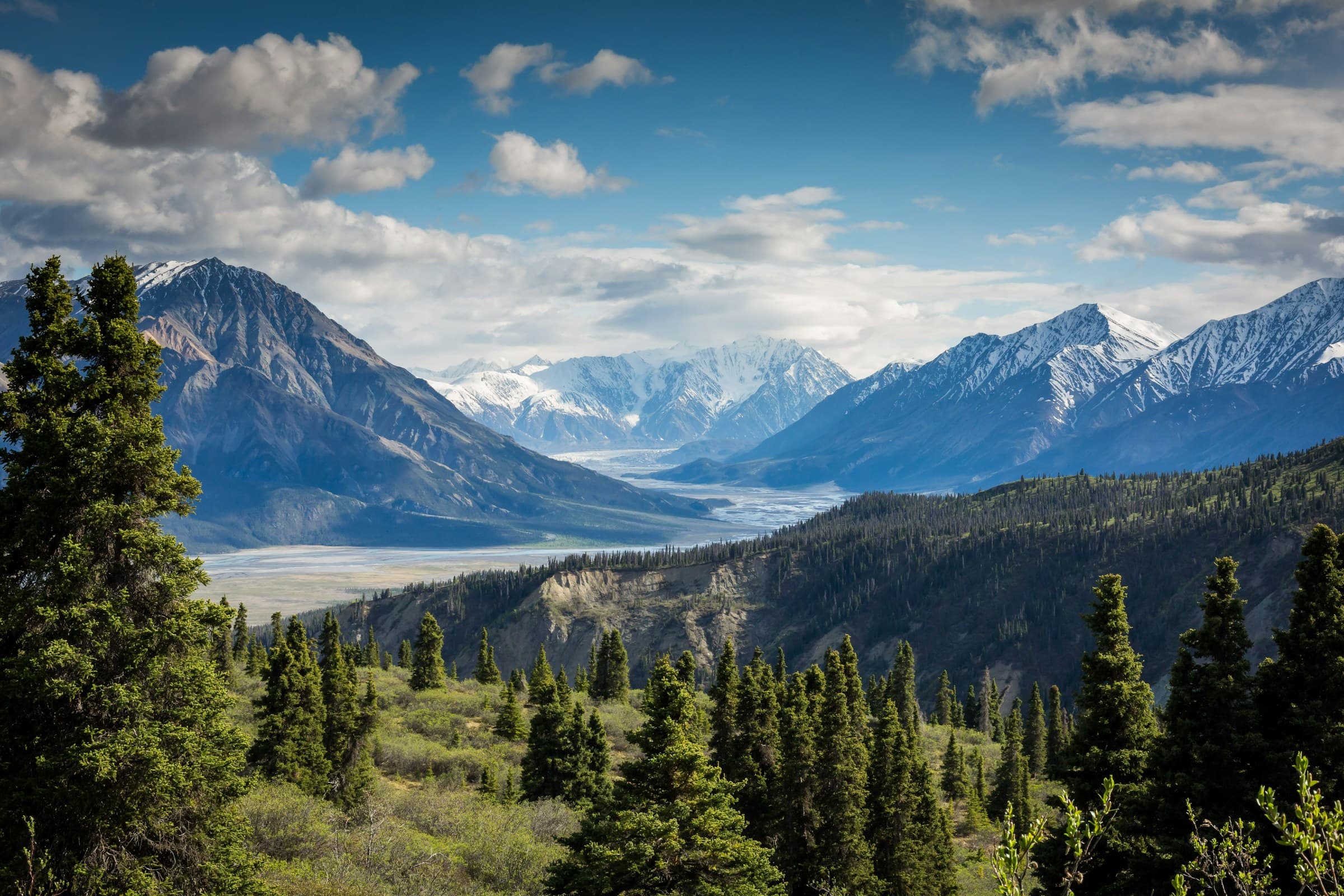 Bright mountain valley with evergreen forests, a braided river, and snow-capped peaks